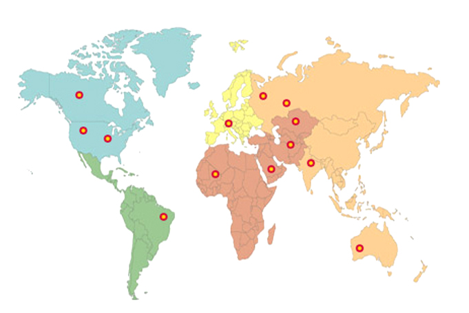 Famcom Global Exports